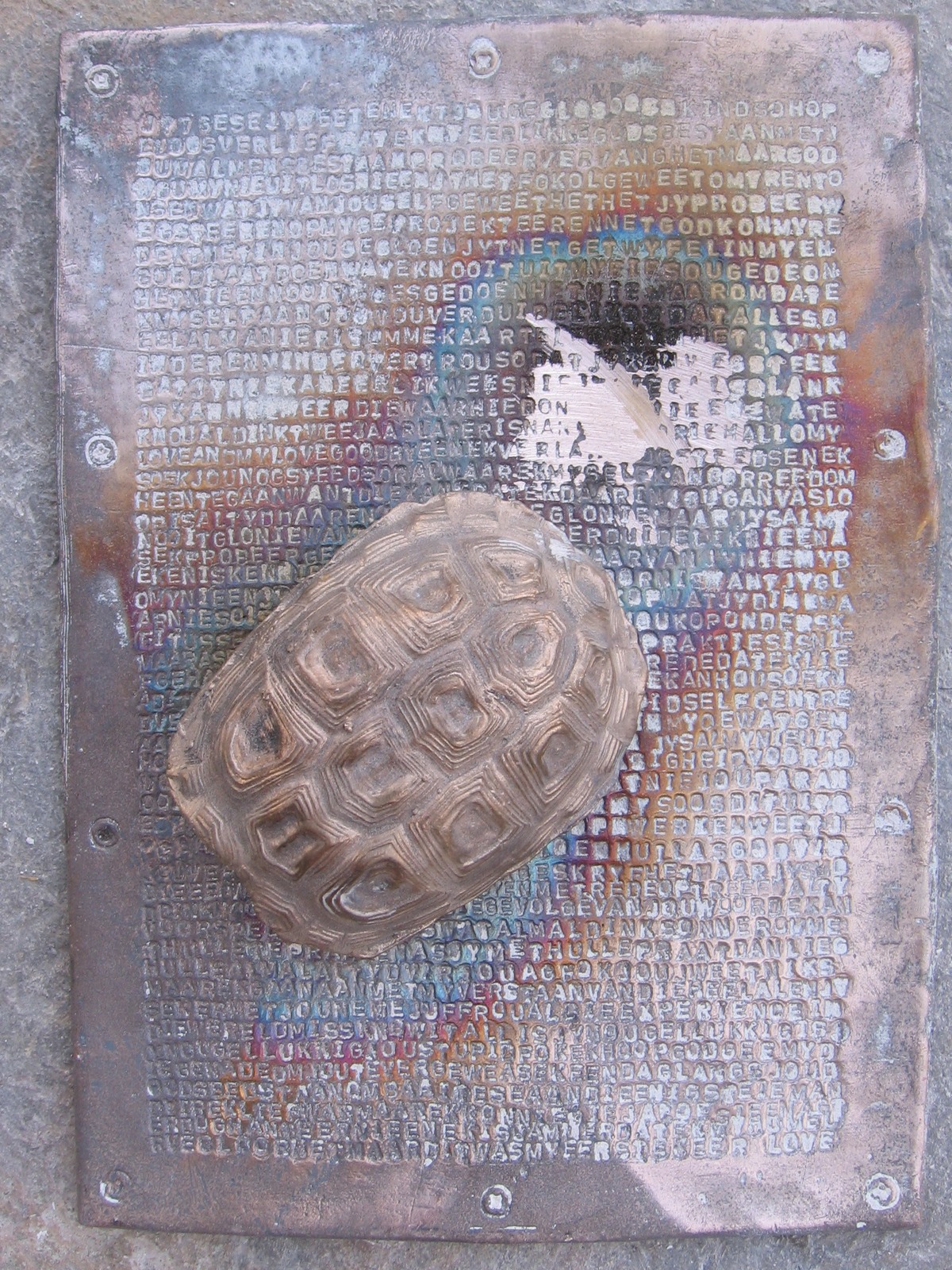 Disjointed - Tortoise